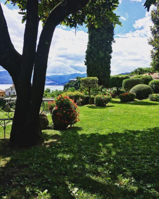 Il Motto Di Tommy Bed and Breakfast Castelveccana Εξωτερικό φωτογραφία