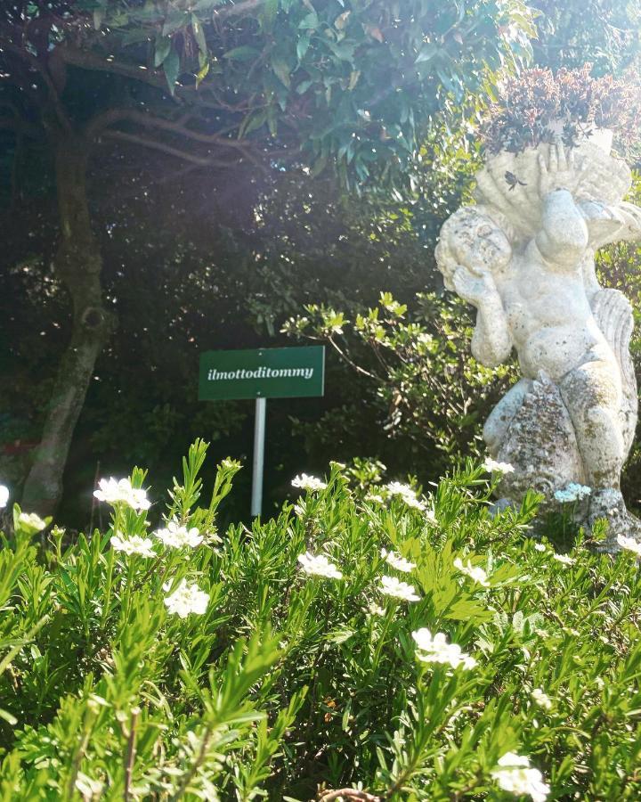 Il Motto Di Tommy Bed and Breakfast Castelveccana Εξωτερικό φωτογραφία